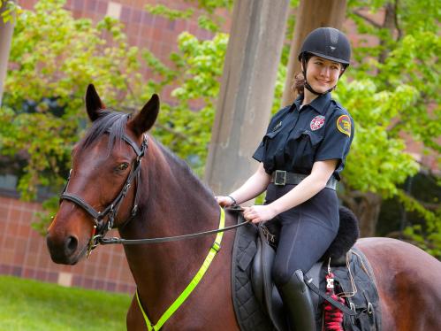 Public safety officers on horseback