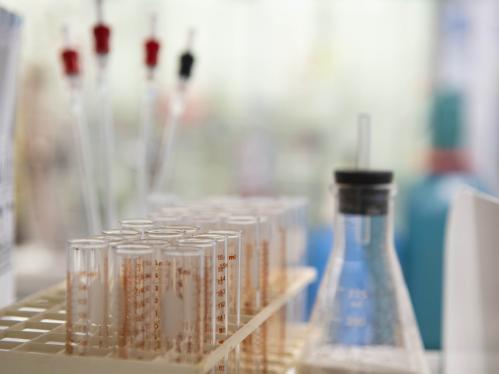 lab