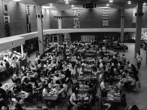 Brower Commons in 1989